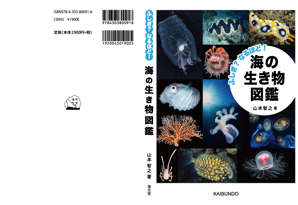 ふしぎ？なるほど！ 海の生き物図鑑